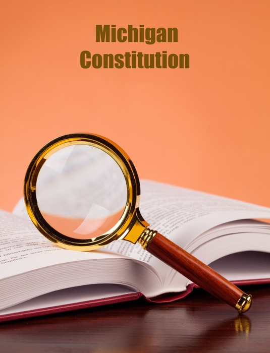 Michigan Constitution