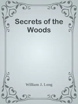 Read: Secrets of Book the Woods