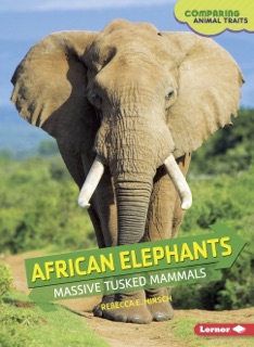 African Elephants by Rebecca E. Hirsch