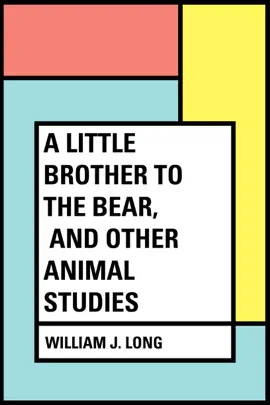 Read: A Book Little Brother to the Bear, and other Animal Studies