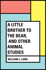 A Little Brother to the Bear, and other Animal Studies - William J. Long