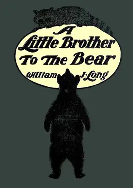 Read: A Little Brother to Book the Bear