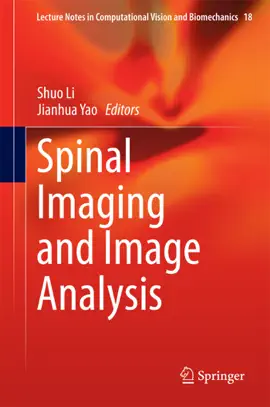 Read: Spinal Book Imaging and Image Analysis