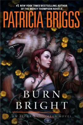Read: Book Burn Bright