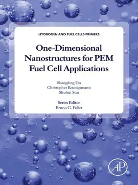 Read: One-dimensional Nanostructures for PEM Fuel Book Cell Applications