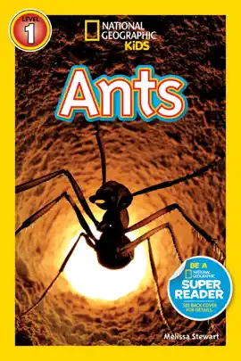 Ants (National Geographic Kids Readers, Level 1)