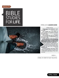 Bible Studies for Life: Adult Leader Guide - ESV - Ronnie W. Floyd, R. Brian Gass, Philip Nation, Ken Hemphill, Chris Surratt, David Fleming, Dwayne McCrary, Daniel Darling & Janice Meier