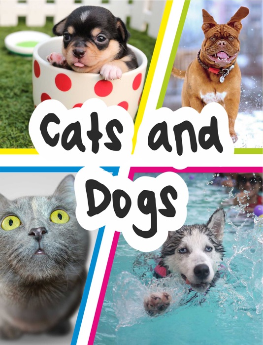 Cats & Dogs
