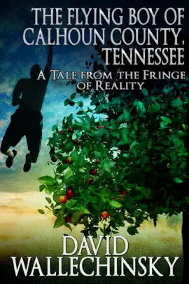 Read: The Flying Boy of Calhoun Book County, Tennessee: A Tale from the Fringe of Reality