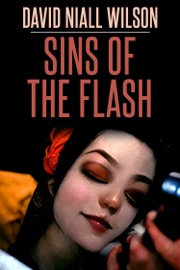 Sins of the Flash - David Niall Wilson