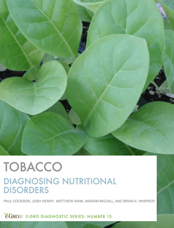 Tobacco