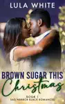 Brown Sugar This Christmas by Lula White Book Summary, Reviews and Downlod