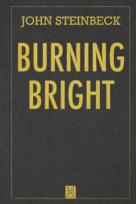 Read: Book Burning Bright