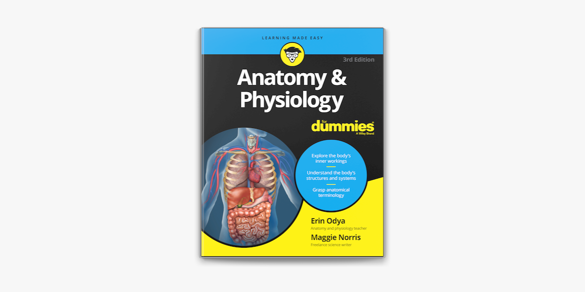 Anatomy and Physiology for Dummies on Apple Books