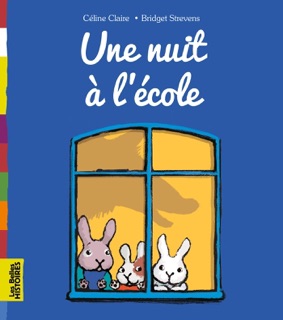 Une nuit à l'école by Céline Claire, Céline Mauge & BRIDGET STREVENS