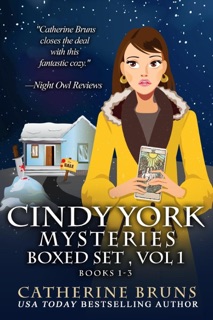 Cindy York Mysteries Boxed Set Books 1-3 by Catherine Bruns