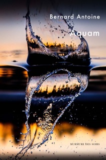Aquam by Bernard Antoine