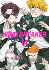 WIND BREAKER Volume 14