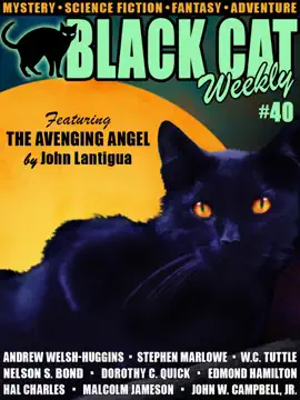 Read: Book Black Cat Weekly #40