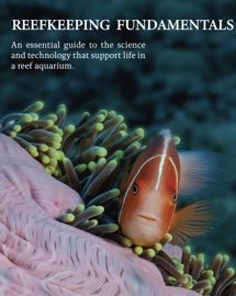 Reefkeeping Fundamentals - Angel Cegarra