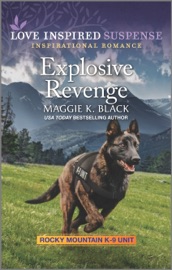 Explosive Revenge - Maggie K. Black