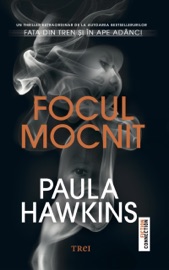 Focul mocnit - Paula Hawkins