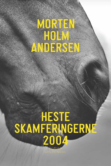 Hesteskamferingerne 2004