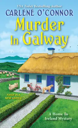 Read: Murder in Galway Book