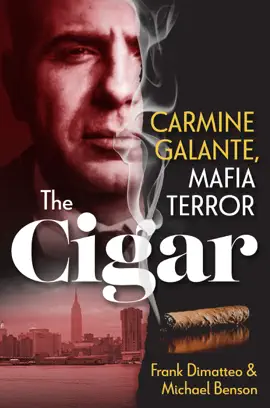 Read: The Cigar Book