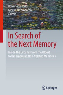 In Search of the Next Memory by Roberto Gastaldi & Giovanni Campardo