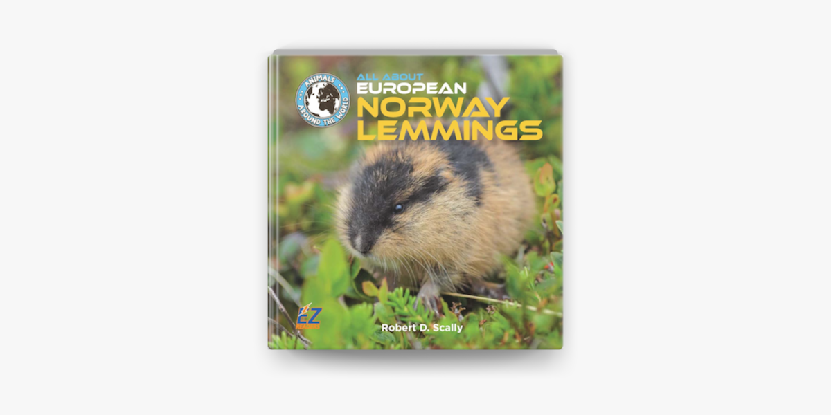 The Norway lemming is a small rodent that looks like a hamster. Lemmings  live in cold, snowy places in northern Europe, namely Norway. Discover more  about these clever mammals in All About