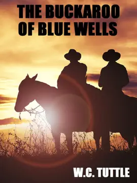 Read: The Buckaroo Book of Blue Wells