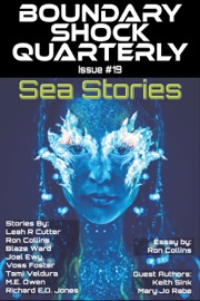 Sea Stories - Blaze Ward, Leah R. Cutter, Ron Collins, M. E. Owen, Keith Sink, Mary Jo Rabe, Tami Veldura, Joel Ewy, Voss Foster & Richard E.D. Jones