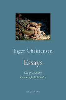 Essays. Hemmelighedstilstanden / Del af labyrinten by Inger Christensen