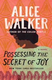 Possessing the Secret of Joy - Alice Walker