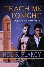 Teach Me Tonight - Neil S. Plakcy