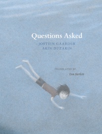Questions Asked - Jostein Gaarder, Don Bartlett & Akin Duezakin