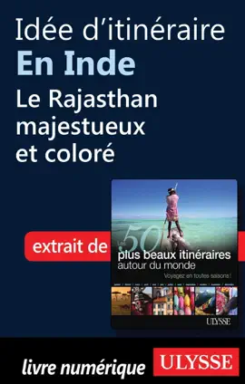 Read: Idée d'itinéraire en Inde, Book le Rajasthan majestueux et coloré