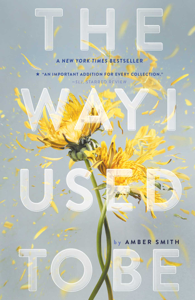 The Way I Used to Be - Amber Smith Cover Art