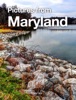 Book Pictures from Maryland
