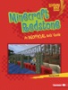 Book Minecraft Redstone