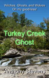 Turkey Creek Ghost - Anthony Stevens