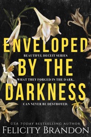 Enveloped By The Darkness - Felicity Brandon