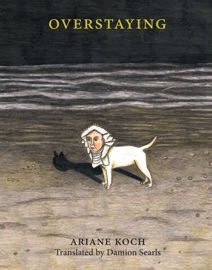 Overstaying - Ariane Koch & Damion Searls