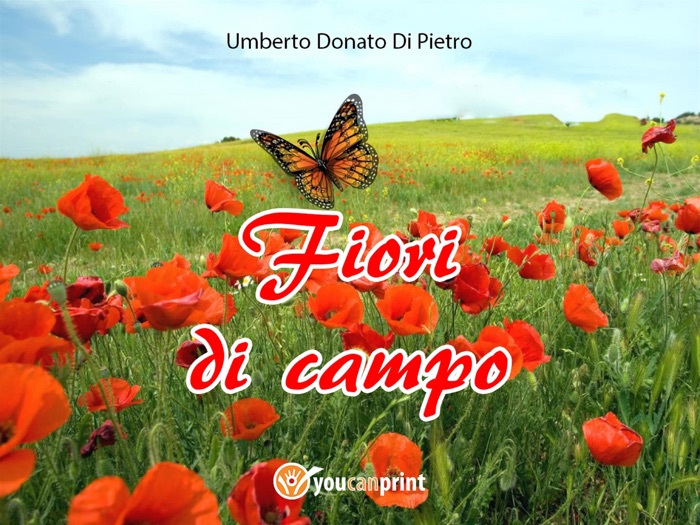 Fiori di campo