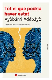 Tot el que podria haver estat - Ayobami Adebayo