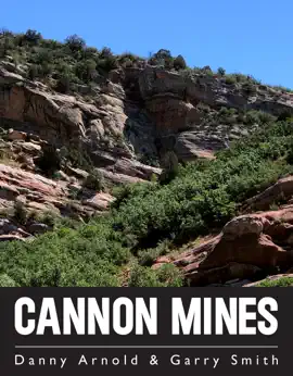 Read: Cannon Book Mines