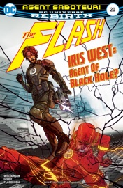 The Flash (2016-) #20 - Joshua Williamson & Neil Googe