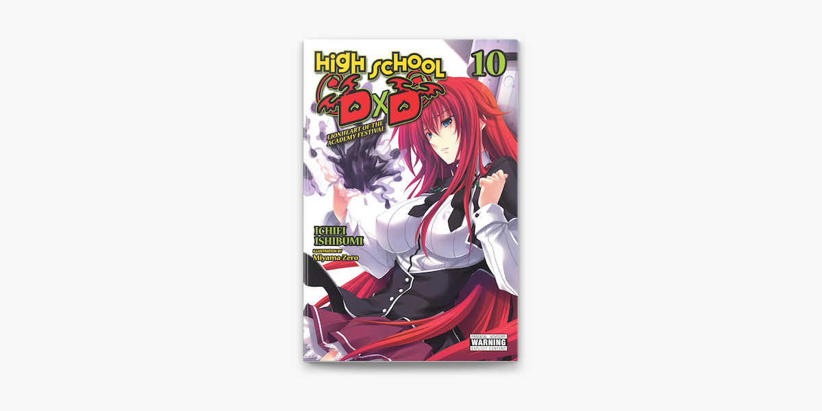 High School DXD (Light Novel): High School DXD, Vol. 10 (Light Novel):  Lionheart of the Academy Festival (Paperback)