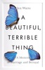 Book A Beautiful, Terrible Thing